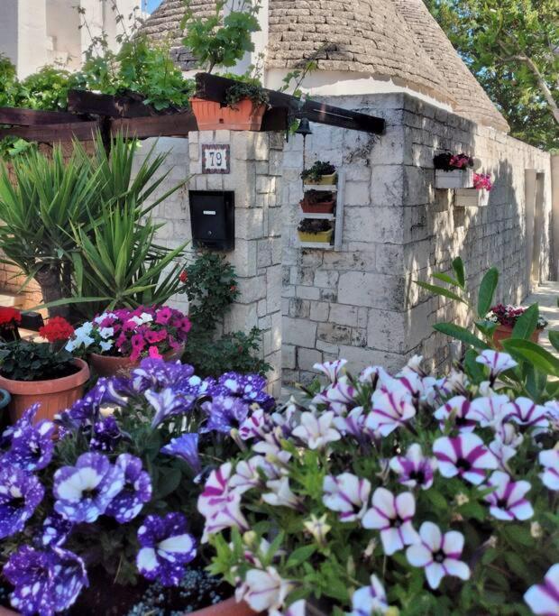 로코로톤도 Il Trullo Felice 빌라 외부 사진