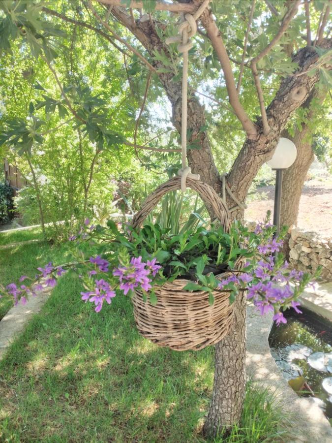로코로톤도 Il Trullo Felice 빌라 외부 사진